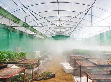 What are the applications of high pressure mist spray in greenhouses