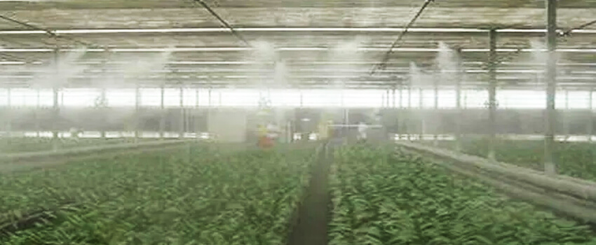 Greenhouse misting