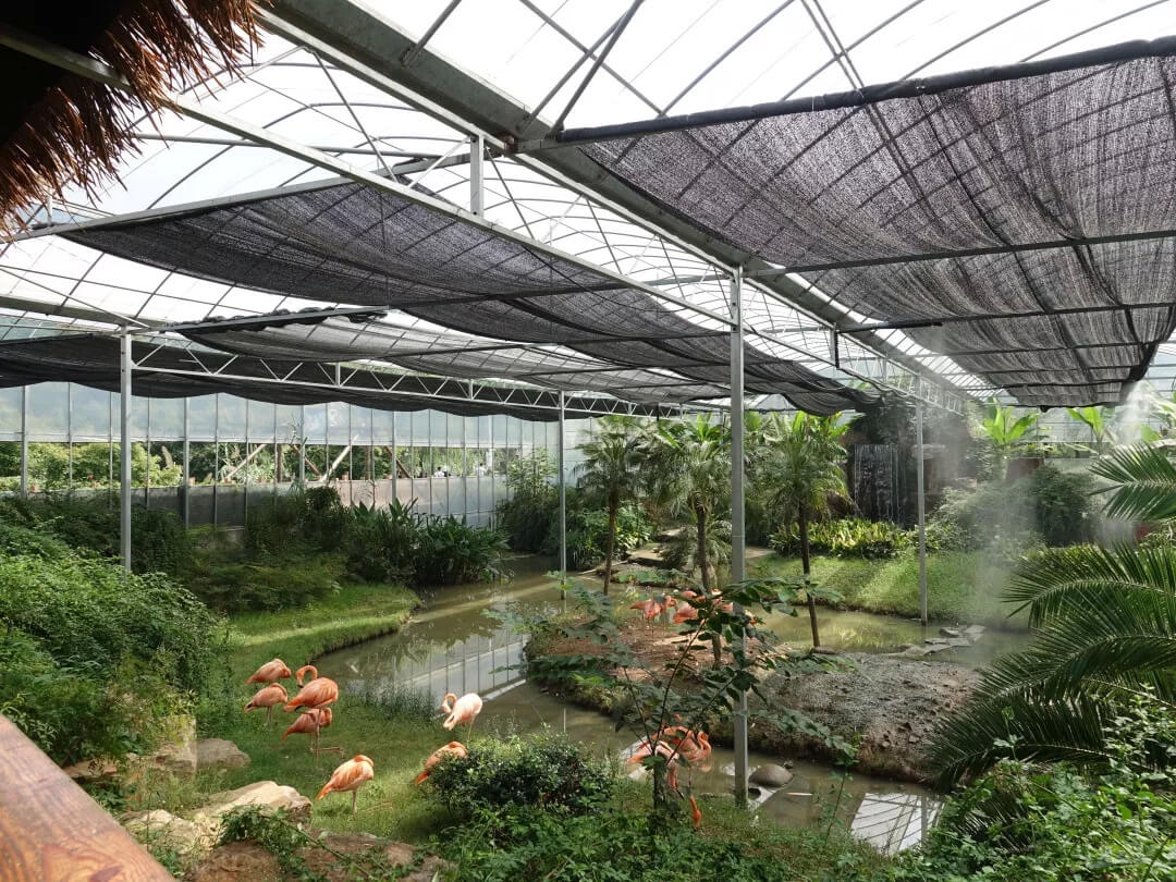 high pressure mist spray in greenhouses