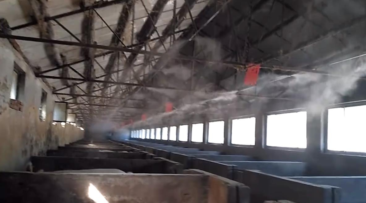 How to properly install and use mist spray cooling systems in pig farms