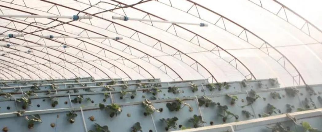 misting humidification system for plant in greenhouses