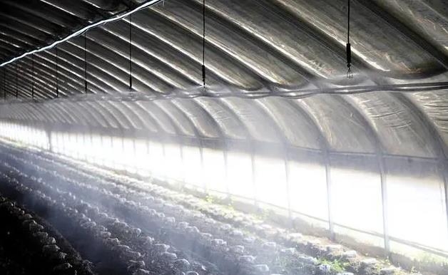misting humidification system for plant in greenhouses