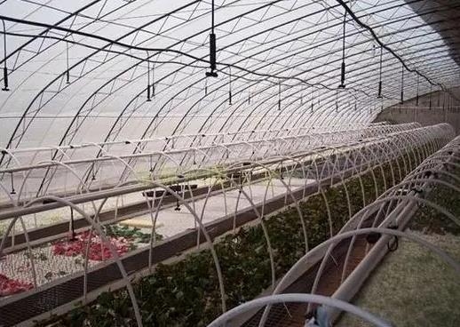 greenhouses need to misting spray humidify