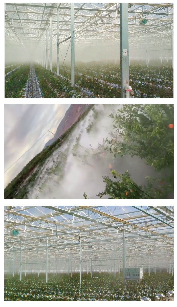 High pressure fogging system greenhouse