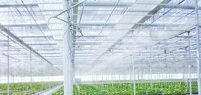 Greenhouse humidifying misting system